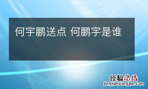 何宇鹏送点 何鹏宇是谁