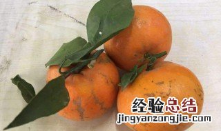 乌柑的功效与作用性寒吗 乌柑的功效与作用