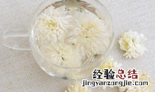 白菊花的禁忌与功效与作用 白菊花的禁忌与功效
