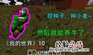 我的世界怎么种小麦 老玩家经验总结