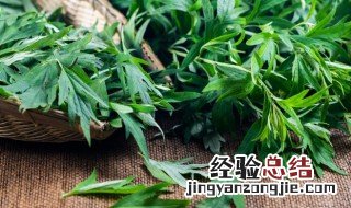 红艾叶的功效与作用及禁忌症图片 红艾叶的功效与作用及禁忌症