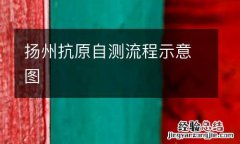 扬州抗原自测流程示意图