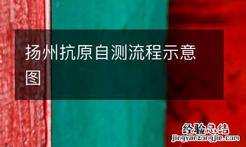 扬州抗原自测流程示意图