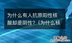 为什么核酸是阴性,抗体一直是阳性 为什么有人抗原阳性核酸却是阴性?