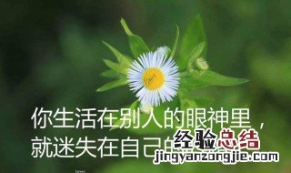人生经典的句子大全 人生经典句子