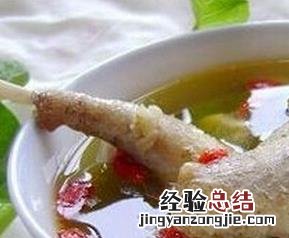 鸽子汤的营养价值与功效禁忌 鸽子汤的营养价值与功效