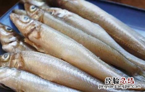 沙丁鱼是什么鱼 黑龙江沙丁鱼是什么鱼