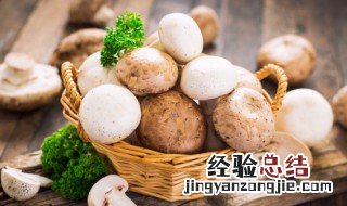 口蘑需要煮多久 煮口蘑多久可以吃