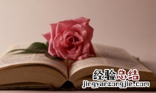 林的拼音 林的组词