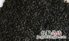 韭菜子的功效及作用 韭菜子的功效与作用