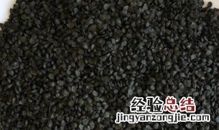 韭菜子的功效及作用 韭菜子的功效与作用