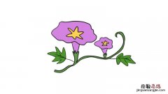 牵牛花简笔画步骤图片 牵牛花简笔画图片教程怎么画