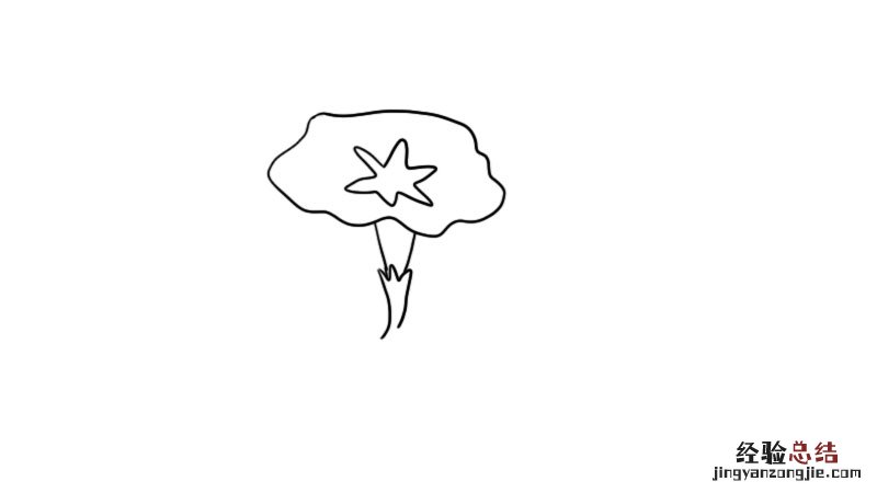 牵牛花简笔画步骤图片 牵牛花简笔画图片教程怎么画