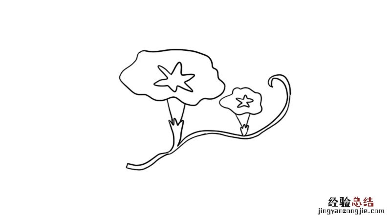 牵牛花简笔画步骤图片 牵牛花简笔画图片教程怎么画
