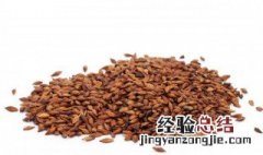 大麦茶的功效与禁忌有哪些作用 大麦茶的功效与禁忌有哪些