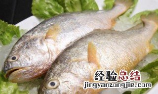 黄花鱼是淡水鱼还是深水鱼 黄花鱼是淡水鱼吗