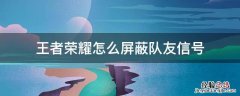 王者荣耀怎么屏蔽队友信号 王者荣耀怎么屏蔽队友发出的信号 太烦了