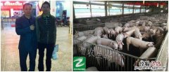 80后生接班养猪业靠什么