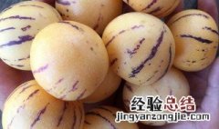 人参果怎么样才是熟的 人参果怎么样才是熟了