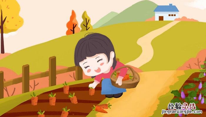 祖父的园子运用了什么写作手法 祖父的园子运用了什么写作手法写一段话