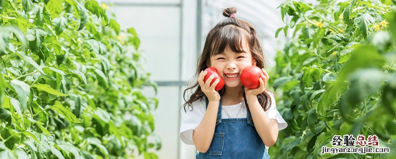 如何引导幼儿认识蔬菜和水果 如何引导幼儿认识蔬菜
