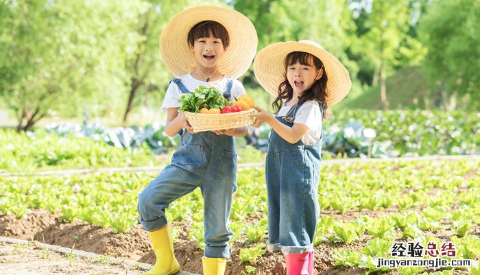 如何引导幼儿认识蔬菜和水果 如何引导幼儿认识蔬菜