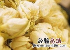 茉莉花泡水的好处和坏处 茉莉花泡水的好处和坏处有哪些