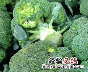 西兰花放了几天发黄了还能吃吗 西兰花变黄了还能吃吗