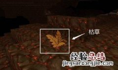 迷你世界小红菇怎么种 种植蘑菇的方法介绍