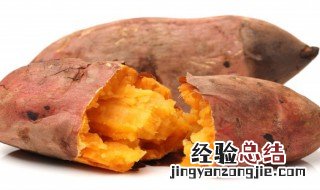 红薯和白萝卜可以一起煮粥吗 红薯能和白萝卜一起煮粥吗