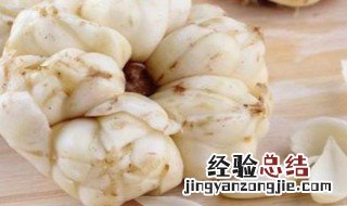 百合可以和什么一起煮水 百合可以和什么一起煮