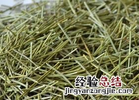 全松茶的功效与作用 全松茶的功效与作用是什么