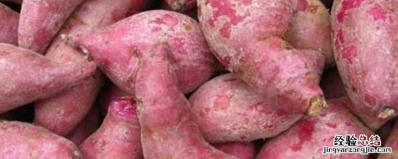 红薯渣怎么做饲料，红薯怎么快速脱水