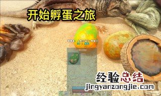 方舟蛋怎么孵化 方舟生存进化龙蛋孵化技巧
