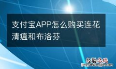 支付宝APP怎么购买连花清瘟和布洛芬