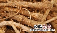 关防风种植技术与效益 防风种植技术与效益