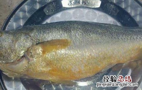 市面上黄花鱼是人工养殖的吗? 黄花鱼能人工养殖吗