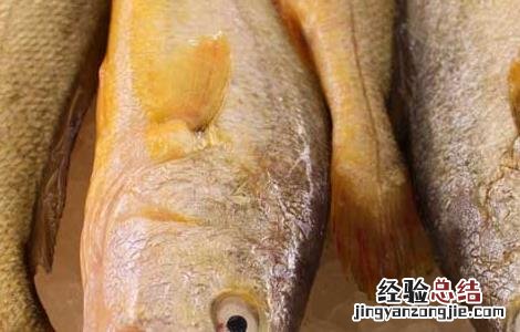 市面上黄花鱼是人工养殖的吗? 黄花鱼能人工养殖吗