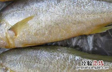 市面上黄花鱼是人工养殖的吗? 黄花鱼能人工养殖吗