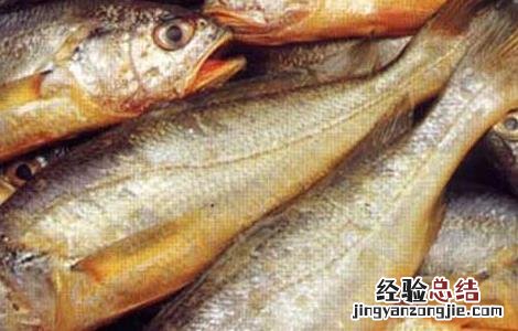 黄花鱼是海鱼吗 养殖的黄花鱼是海鱼吗