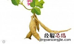 葛根煮水煮多久 葛根煮水煮多久好