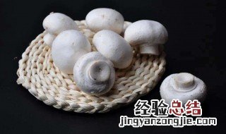 白口蘑里面发黑能吃吗 口蘑黑黑的能吃吗