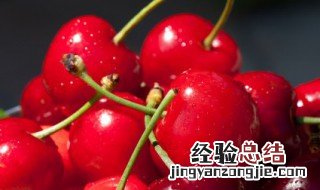 山东大樱桃和车厘子有什么区别 樱桃和车厘子有什么区别