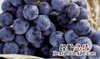 葡萄什么季节吃最好 葡萄啥季节吃最好