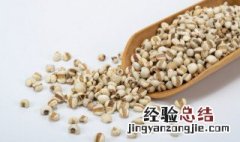 薏米什么季节吃最好 薏米粥什么季节吃好