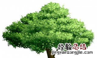 梦见女人抬大树 梦见女人抬大树什么预兆