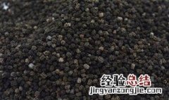 沙蚕的功效与作用禁忌 沙蚕的功效与作用