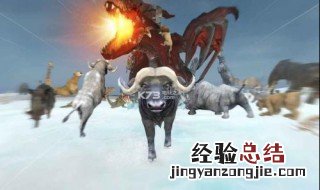 anima工匠商店无法使用