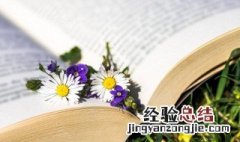 发扬光大意思准确的解释 发扬光大什么意思