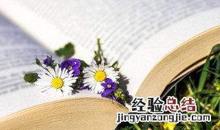 发扬光大意思准确的解释 发扬光大什么意思